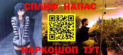 шишки Рязань