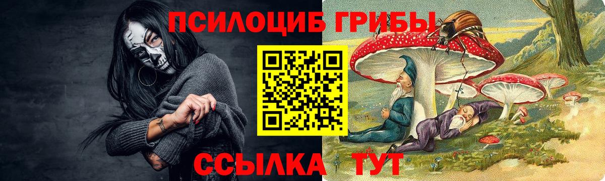 Псилоцибиновые грибы Magic Shrooms  Вход с VPN  Псков 