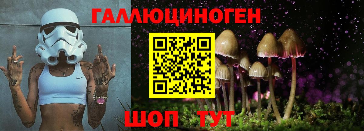 Галлюциногенные грибы Psilocybine cubensis Псков